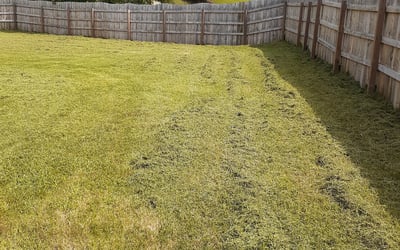 Photo of Taylor M.'s yard after getting landscaping in Portland, TN