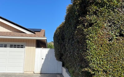 Photo of Chris K.'s yard after getting landscaping in Cardiff By The Sea, CA