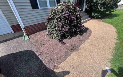 Photo of Montiqua S.'s yard after getting tree care in Colonial Heights, VA