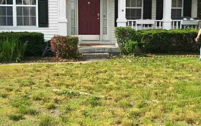 Photo of Mark K.'s yard after getting landscaping in Elwood, IN