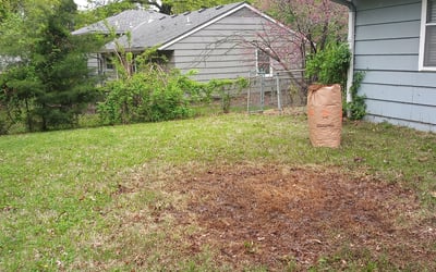 Photo of Michael F.'s yard after getting landscaping in Waverly, MO