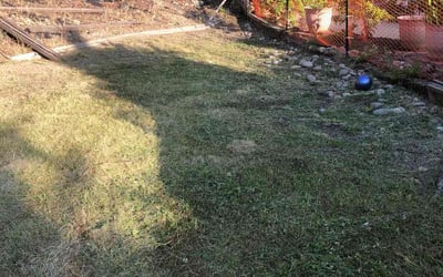Photo of Jeremy B.'s yard after getting landscaping in Auburn, CA