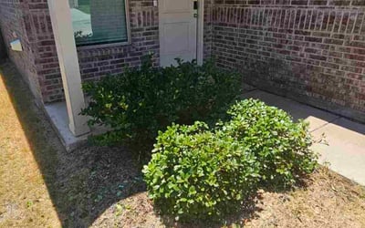 Photo of Richard B.'s yard after getting landscaping in Pilot Point, TX