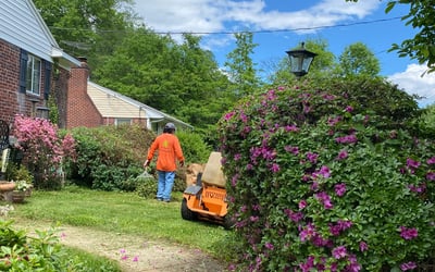 Photo of Sarah H.'s yard after getting landscaping in Midland, VA