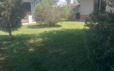 Photo of Brandon L.'s yard after getting landscaping in Kearny, AZ