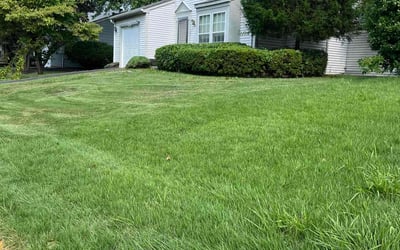 Photo of Greg S.'s yard after getting landscaping in Bealeton, VA