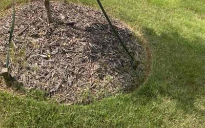 Photo of Keno C.'s yard after getting tree care in Charlotte, NC