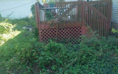 Photo of John S.'s yard after getting landscaping in Independence, OH