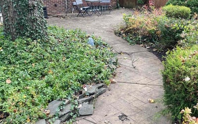 Photo of Justin S.'s yard after getting landscaping in Clarence Center, NY