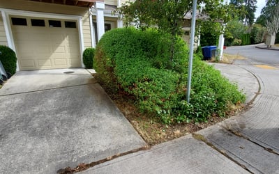 Photo of Eric S.'s yard after getting landscaping in Gold Bar, WA