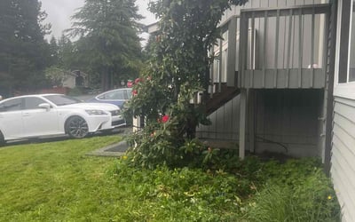Photo of Judy R.'s yard after getting tree care in Kirkland, WA