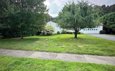 Photo of Stephen S.'s yard after getting landscaping in Glastonbury, CT