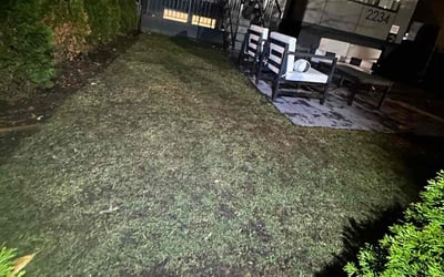 Photo of Christopher K.'s yard after getting landscaping in Midland, VA