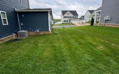 Photo of Catherine C.'s yard after getting lawn care in Spring Hill, TN