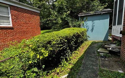 Photo of Sal S.'s yard after getting tree care in Chevy Chase, MD