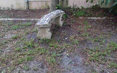 Photo of David R.'s yard after getting landscaping in Dania, FL