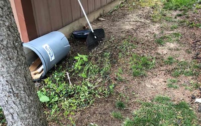 Photo of Kyle S.'s yard after getting landscaping in Wauseon, OH