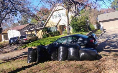 Photo of Susan R.'s yard after getting landscaping in Glen Rose, TX