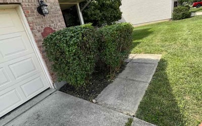 Photo of Nicole J.'s yard after getting landscaping in Bethel, OH