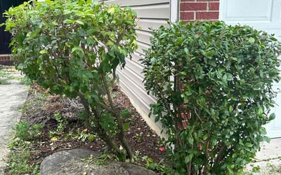 Photo of Aaron B.'s yard after getting landscaping in Avon, IN