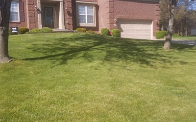 Photo of Tina B.'s yard after getting landscaping in Brooksville, KY