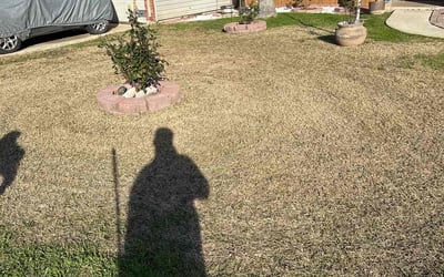Photo of Stephanie M.'s yard after getting landscaping in Leming, TX