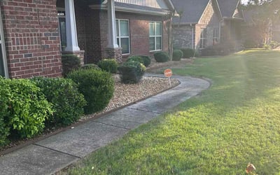 Photo of Marcia C.'s yard after getting landscaping in Madison, AL