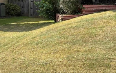 Photo of Chris M.'s yard after getting landscaping in Marietta, GA