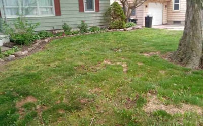 Photo of Travis S.'s yard after getting landscaping in Waterford, MI