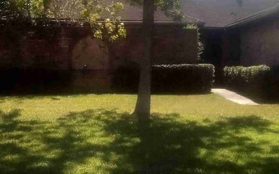 Photo of Ryan S.'s yard after getting landscaping in Kenney, TX