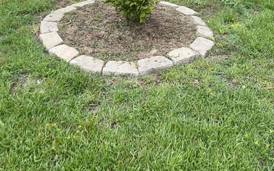 Photo of Dave B.'s yard after getting tree care in Asheville, NC