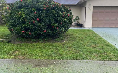 Photo of Ana F.'s yard after getting tree care in Jupiter, FL