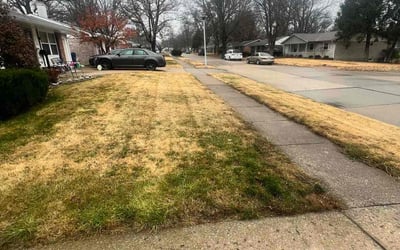 Photo of Larry J.'s yard after getting landscaping in Valley Park, MO