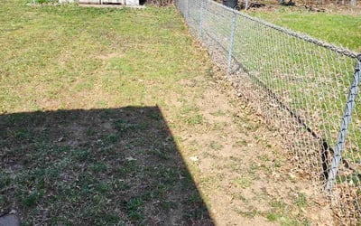 Photo of Troy R.'s yard after getting tree care in Omaha, NE
