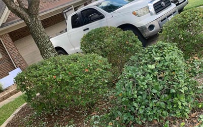 Photo of Judy L.'s yard after getting landscaping in North Houston, TX