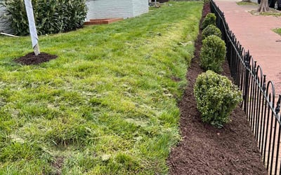 Photo of Jeff D.'s yard after getting landscaping in Ranson, WV