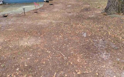 Photo of Teresita F.'s yard after getting tree care in Hilliard, FL