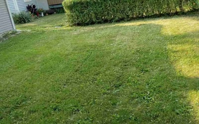 Photo of James B.'s yard after getting landscaping in Galena, OH