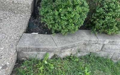 Photo of Tina R.'s yard after getting landscaping in Mount Washington, KY