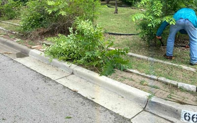 Photo of John H.'s yard after getting landscaping in North Richland Hills, TX