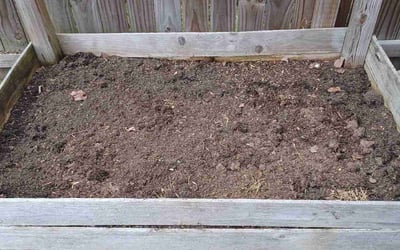 Photo of Ashley H.'s yard after getting landscaping in Gates, NC