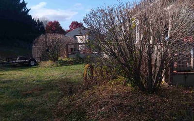 Photo of Robbin A.'s yard after getting tree care in Kensington, MD