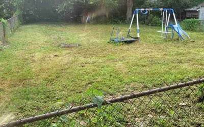 Photo of Patricia W.'s yard after getting landscaping in Indianapolis, IN