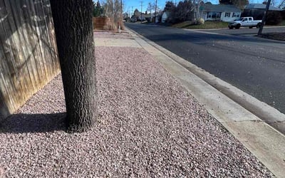 Photo of Jennifer R.'s yard after getting landscaping in Indian Hills, CO
