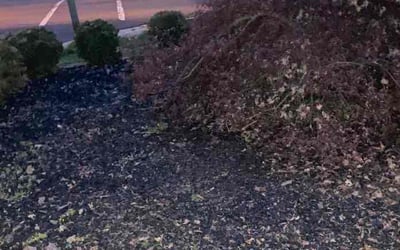 Photo of Roberta K.'s yard after getting landscaping in The Plains, VA