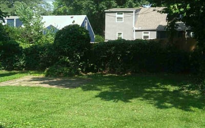 Photo of Nellie M. M.'s yard after getting landscaping in Harrisonville, MO
