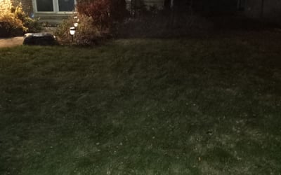 Photo of Matthew G.'s yard after getting landscaping in Walled Lake, MI