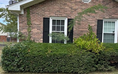 Photo of Michael G.'s yard after getting landscaping in Carthage, TN