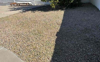 Photo of Marco C.'s yard after getting landscaping in Glendale, AZ