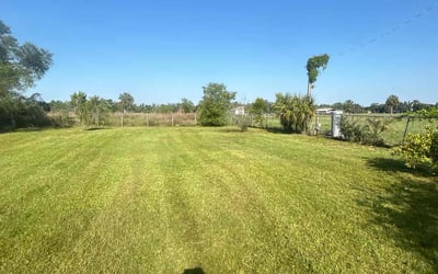 Photo of Richard B.'s yard after getting landscaping in Belleair Beach, FL
